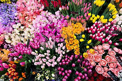 存在卡油门隐患 厂商宣布召回17500辆马里奥卡丁车