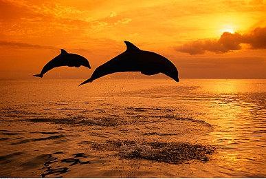 《鬼屋魔影》没有采用D加密 虚幻4引擎开发