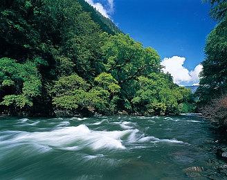 《勇者斗恶龙10》6.5后期版新情报公开 近期更新上线